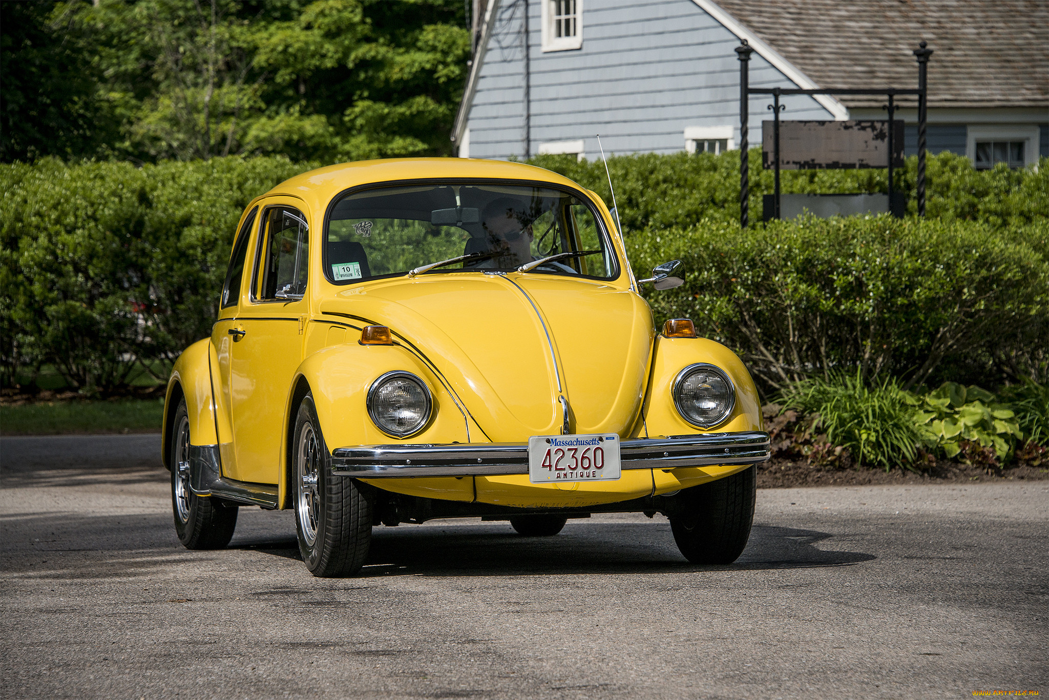 vw beetle, , volkswagen, , , 